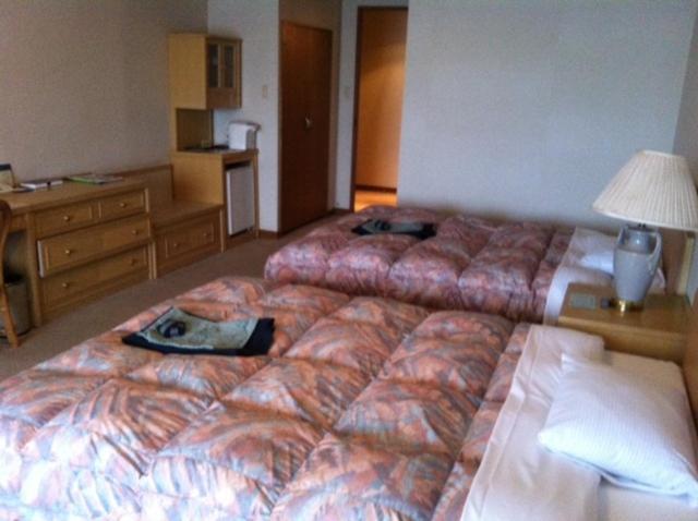 Hotel Hakone Powell Pokój zdjęcie