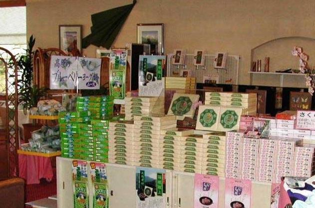 Hotel Hakone Powell Zewnętrze zdjęcie